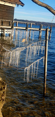 Tutzing am Starnberger See, 31.12.25 