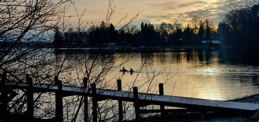 badende Damen: 4°C Wassertemperatur, 7 Min. !, bei Tutzing, 06.01.26
