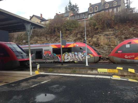 TER en Gare de Mende , Lors d'un GREVE Jeudi 19 octobre 2017