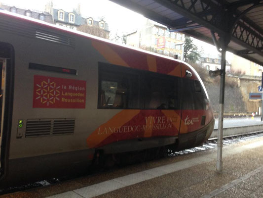 TER en Gare de Mende