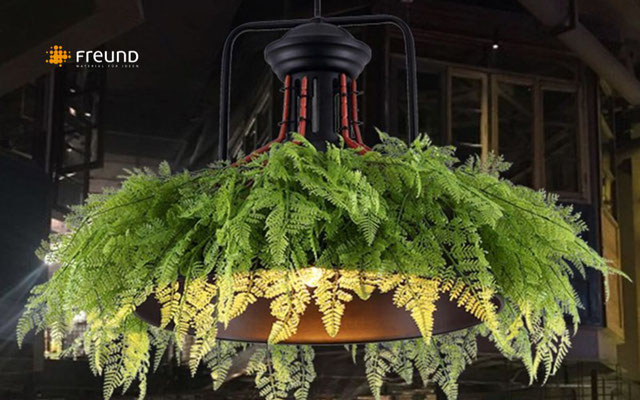 Moos und Pflanzenlampen