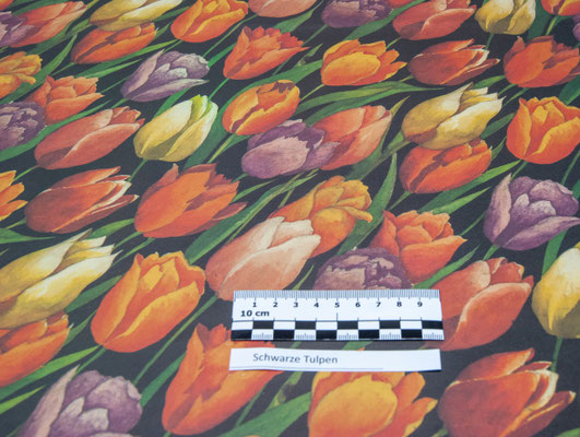 schwarze Tulpen
