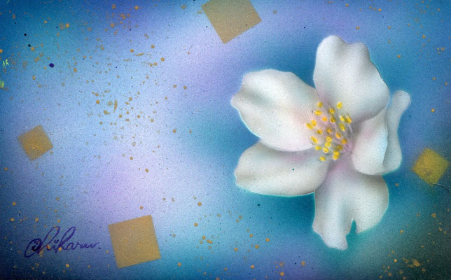 「和桜」　post card size/  2012年作