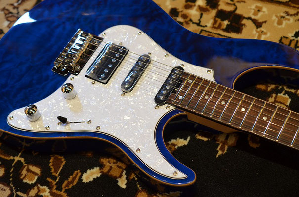 GRASS ROOTS G-SNAPPER-CTM STB - toneplaceguitar ページ! GRASS ROOTS G-SNAPPER-CTM STB - toneplaceguitar ページ!