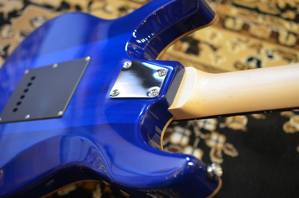 GRASS ROOTS G-SNAPPER-CTM STB - toneplaceguitar ページ! GRASS ROOTS G-SNAPPER-CTM STB - toneplaceguitar ページ!