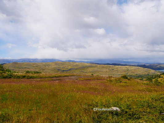 Steppe bei Tag in Patagonien