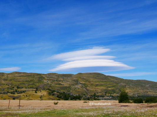 Grassteppe unter blauem Himmel in Patagonien