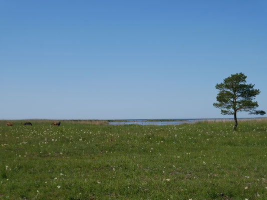 Vilsandie WanderungVilsandie Wanderung