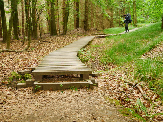 Auf dem Weg zum Großen Winterberg