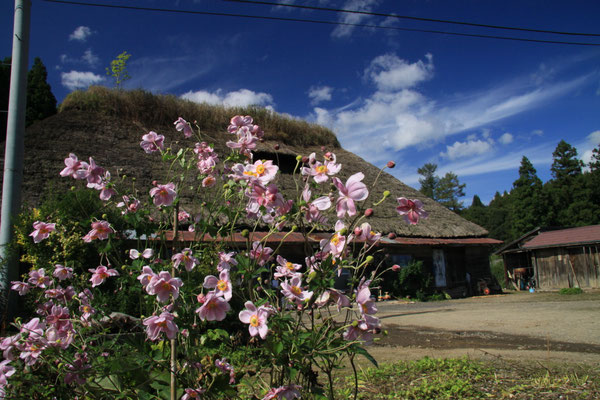 トップページ 洋野町移住定住推進サイト‐ここ住むひろの