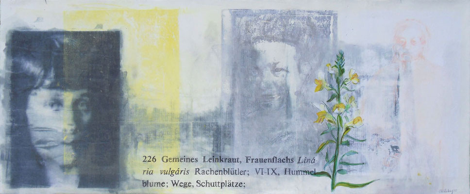 Frauenflachs 2011