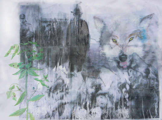 wolfsmilch