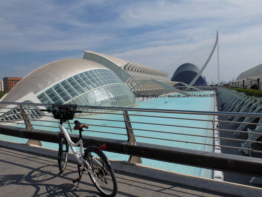Bike CAC Fahrrad Calatrava
