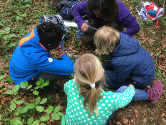 Forschen in der Natur