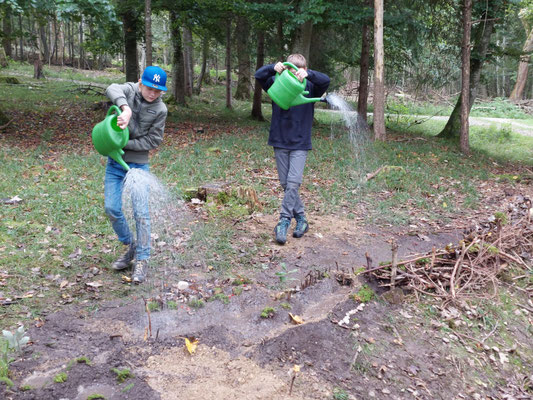 Regensimulation der Modellfläche. Foto: Thea Wolf