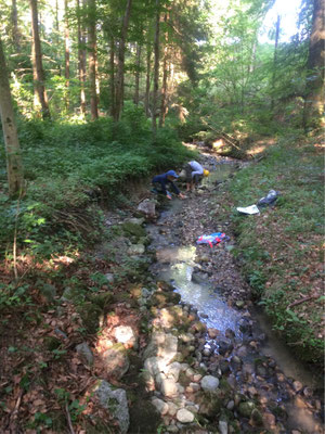 Entdecken am Bach