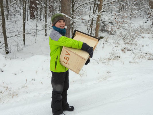 Niklas mit selbstgebautem Raufußkauz-Kasten - Foto: Elke Rosenberg