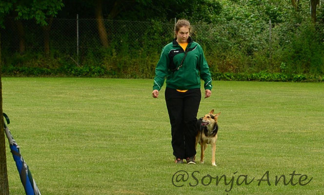 Lena & Kiwi Unterordnung