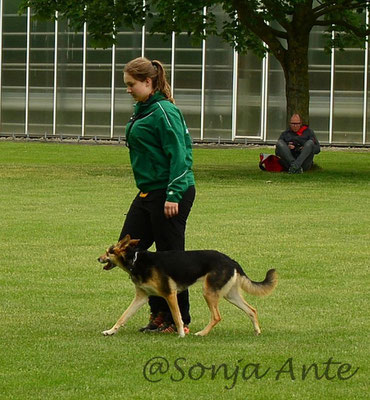 Lena & Kiwi Unterordnung