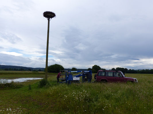 13.06.2016: Vorbereitungen laufen - Foto: Stefan Wagner