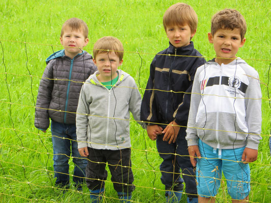 16.06.2016 Die Kinder schauen gebannt zu! - Foto: Friedrich-Karl Menz