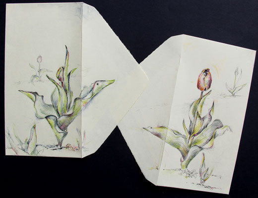 "Tulpenvögelchen", Briefumschläge