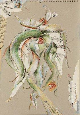 Eine musikalische Aloe; Collage,Stifte,Kreiden,Gouache 