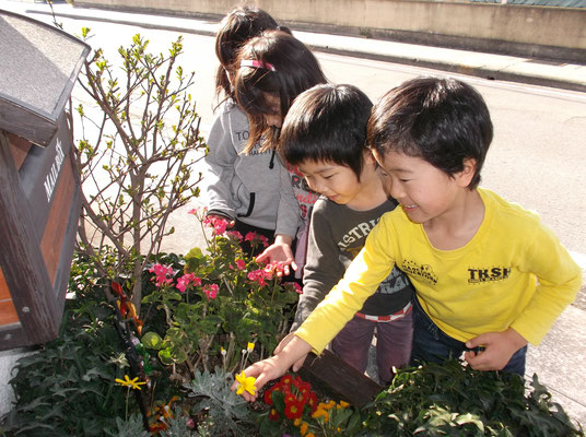 BLUE GUM英会話教室・リトルキッズクラス・"It's a flower!  I like flowers"