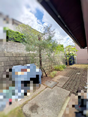 剪定④　after