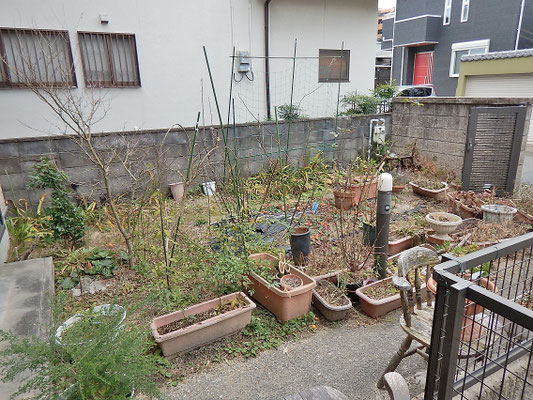 Before