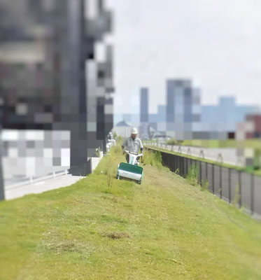 オーレック　ブルモアー