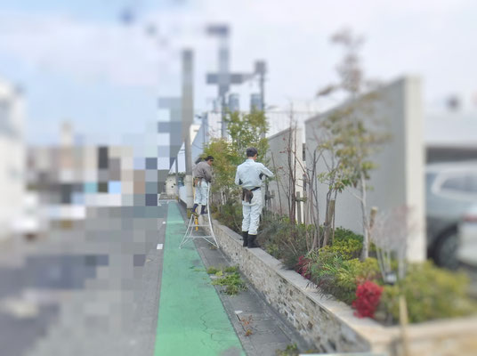 剪定中