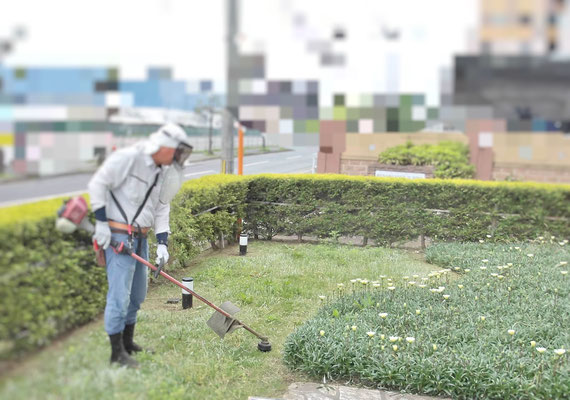 芝刈り　草刈中