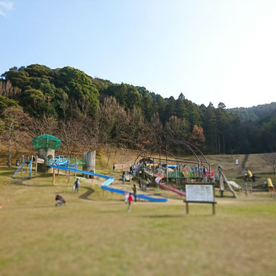 カブトの森公園