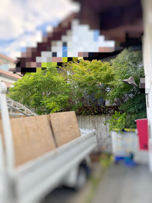 剪定②　before