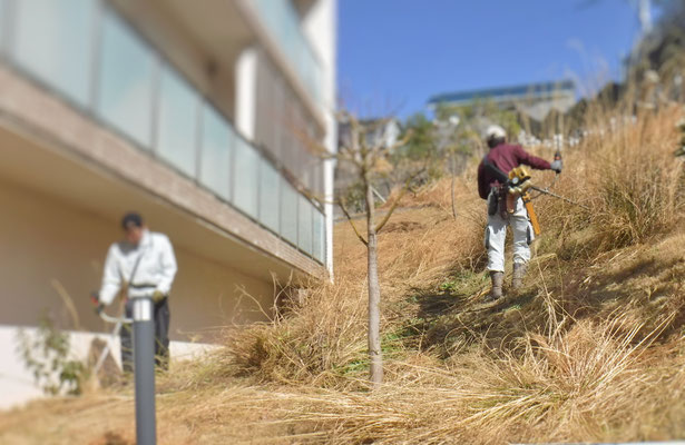法面草刈中