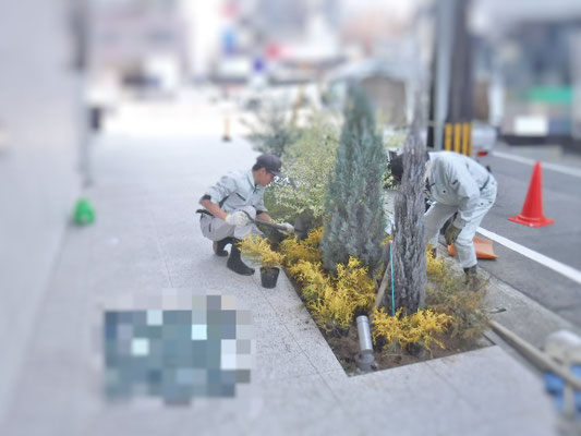 植栽工事中