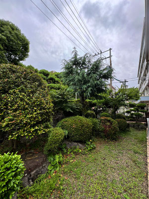 植栽管理　Before