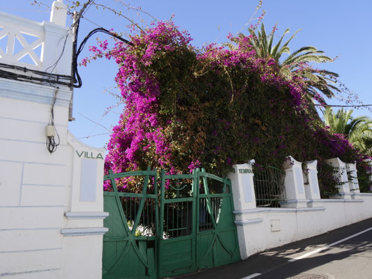 Lanzarote