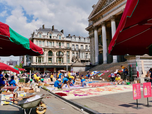 Belgien Brüssel Blumenteppich