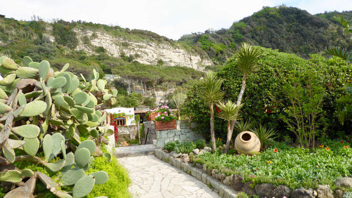 Italien Insel Ischia Poseidon Gärten