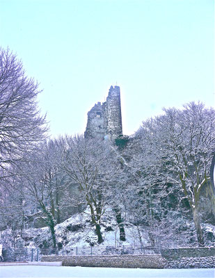 Drachenfels im Siebengebirge