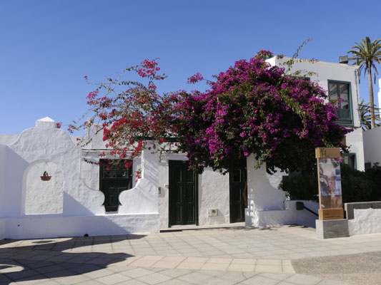 Haria Lanzarote