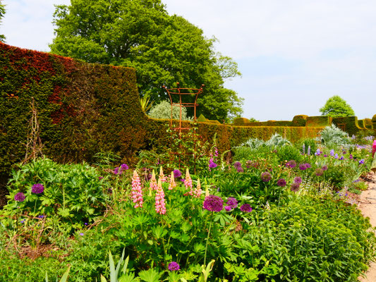 Eibenhecken und Longborders, die typisch englischen Blumenbeete Hole Park Gardens