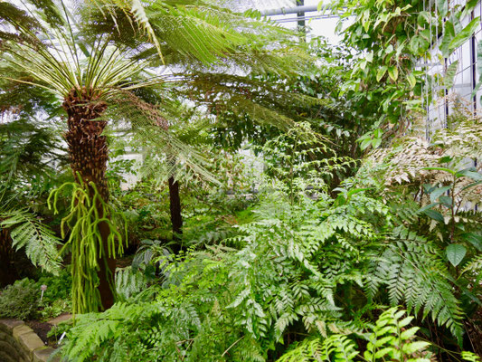 Sehenswürdigkeit Deutschland Bonn, Poppelsdorfer Schloss Botanischer Garten Universität