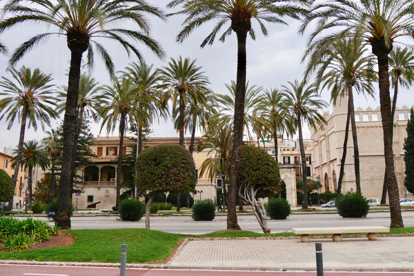 Altstadt Palma de Mallorca