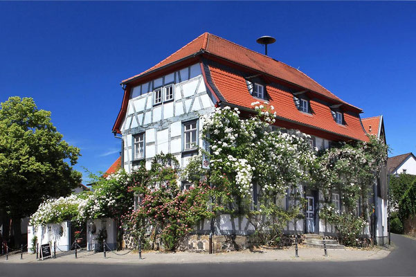 Rosenmuseum Steinfurth