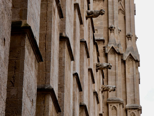 Kathedrale von Palma De Mallorca
