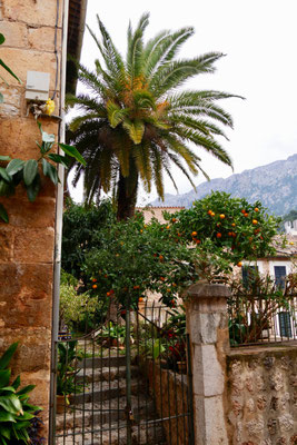 Fornalutx Mallorca