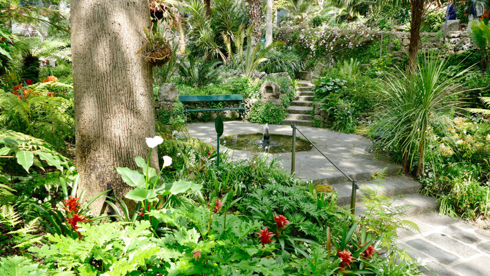 Italien Insel Ischia, Garten Mortela
